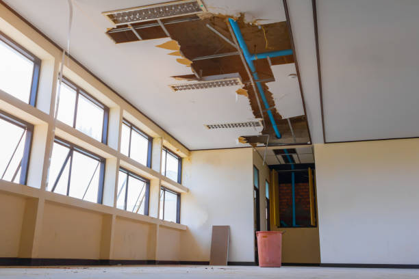 Best Residential water damage restoration  in Cordova, AK