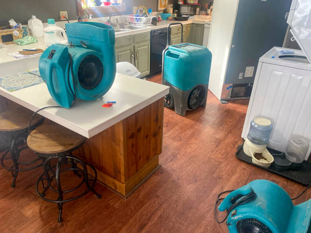 Water damage restoration insurance claims in AK
