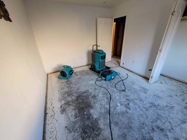 Best Flood restoration services  in Cordova, AK