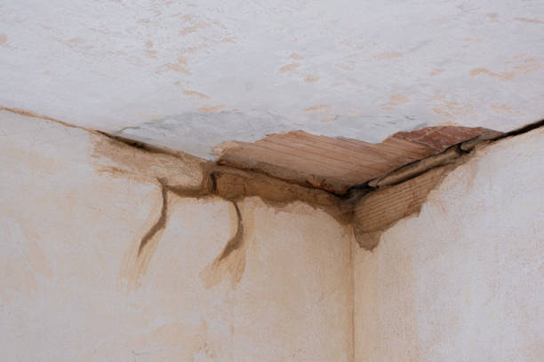 Best Basement water damage restoration  in Cordova, AK