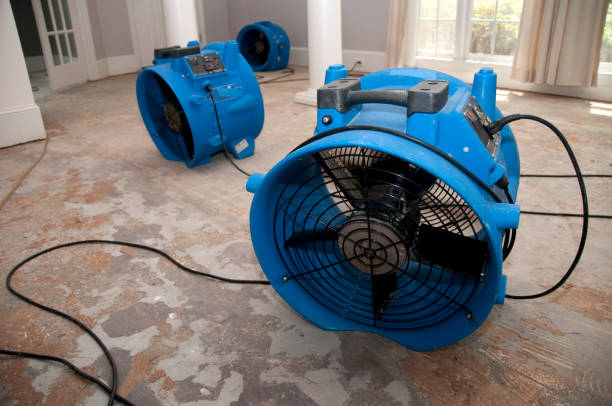 Best Emergency water damage restoration  in Cordova, AK