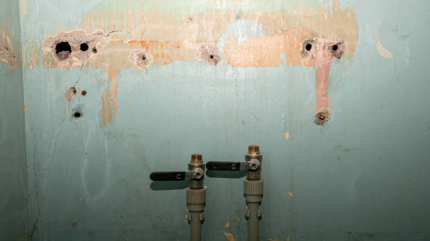 Best Flooded house restoration  in Cordova, AK