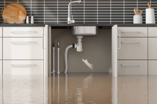 Best Professional water damage repair  in Cordova, AK