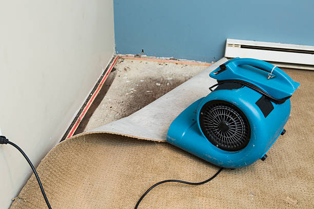 Best 24-hour water damage restoration  in Cordova, AK